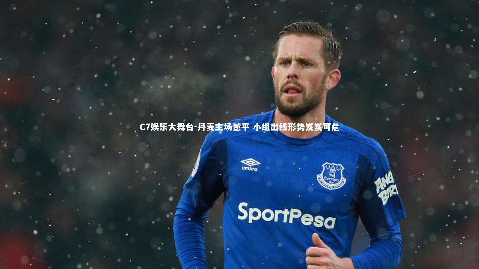 丹麦主场憾平 小组出线形势岌岌可危